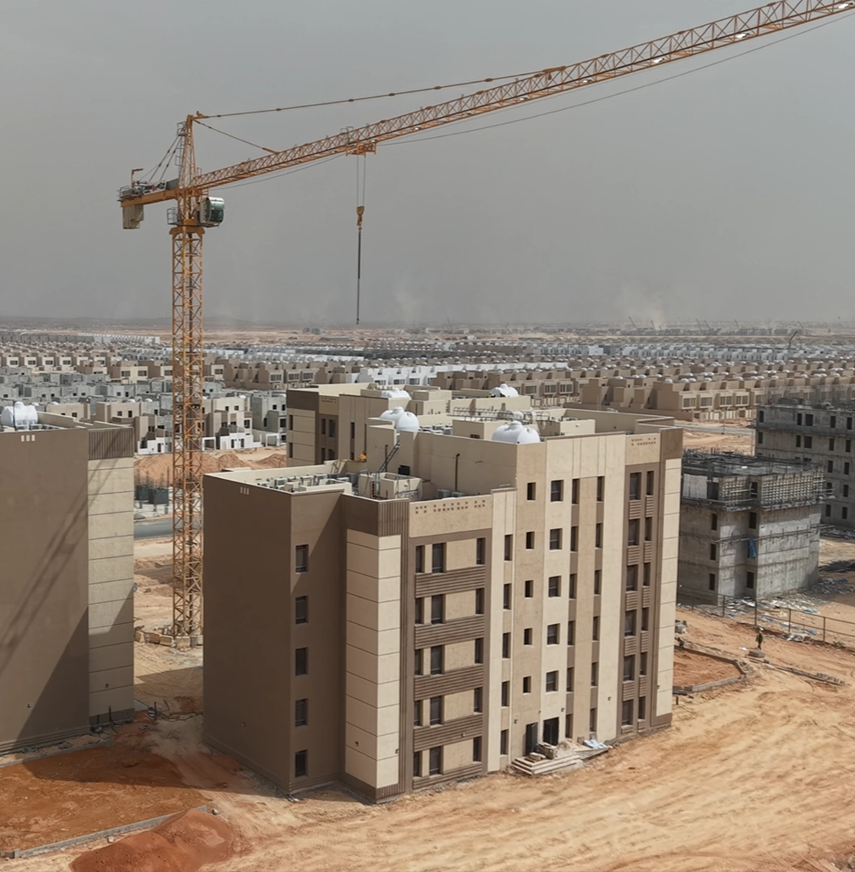مشروع الفرسان