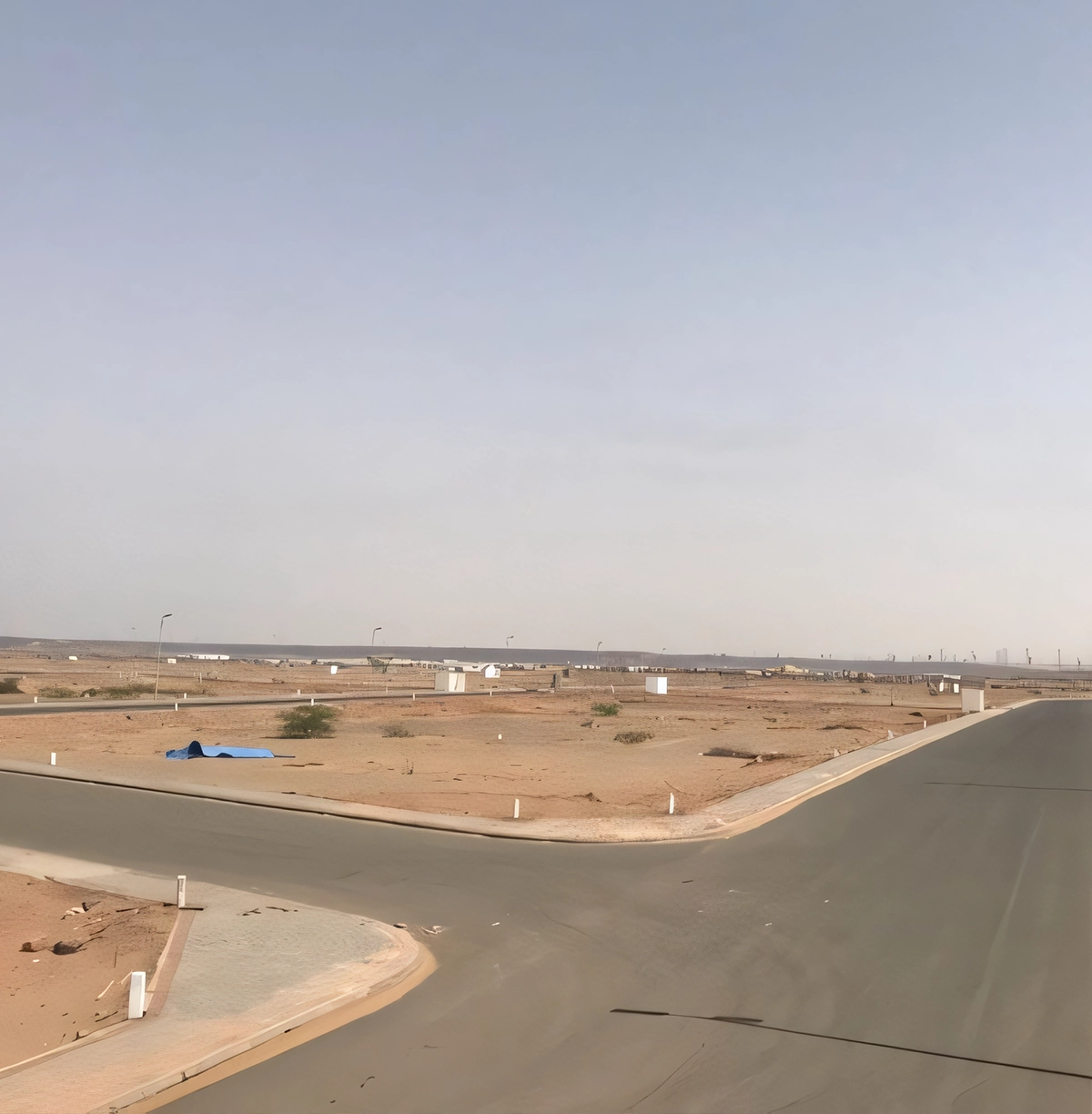 مشروع النخيل